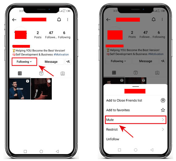 Mute stories and posts